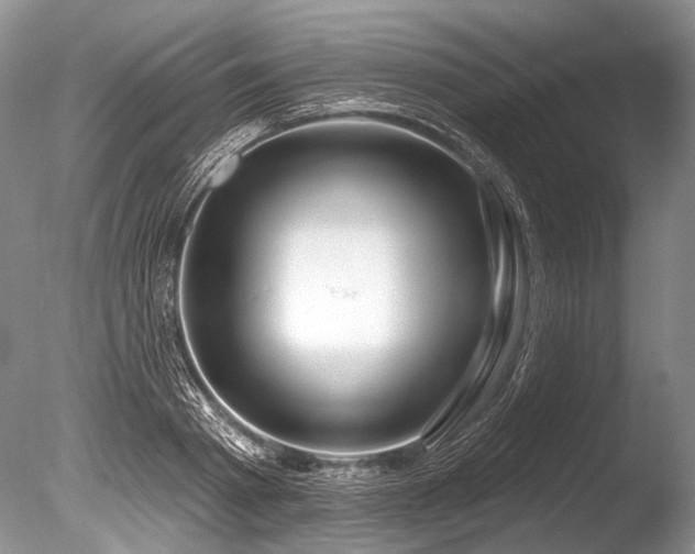 X0000086320793200703301216