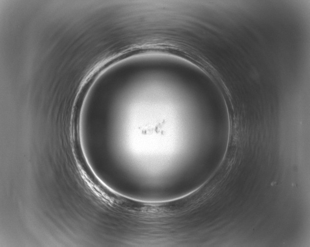 X0000086320795200703301216