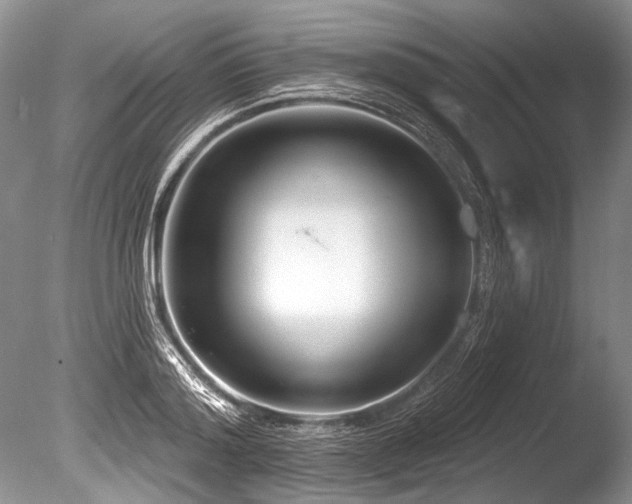 X0000086320796200703301216