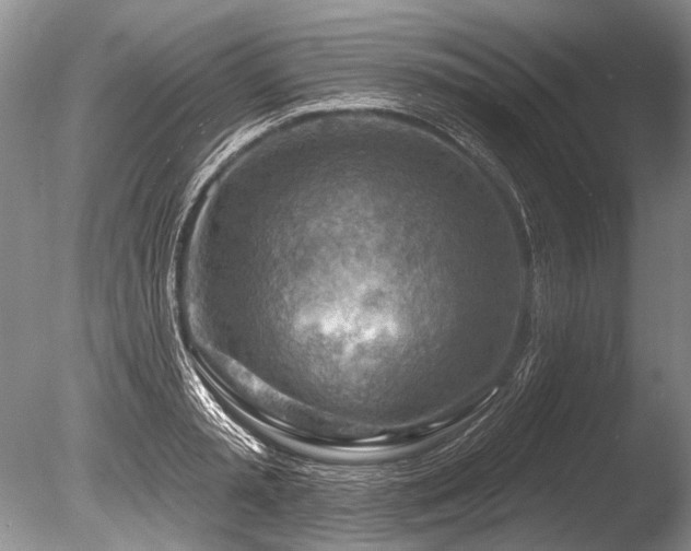 X0000086320797200703301216
