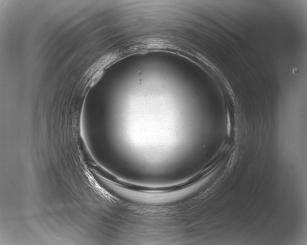 X0000086320801200703301216