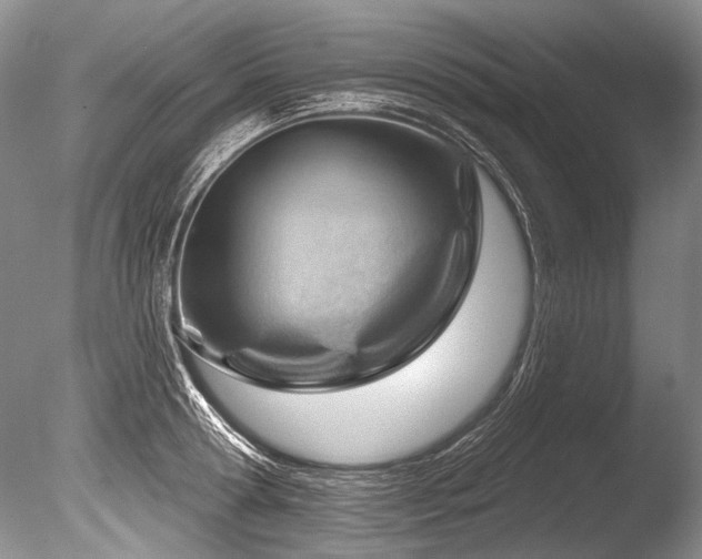 X0000086320802200703301216