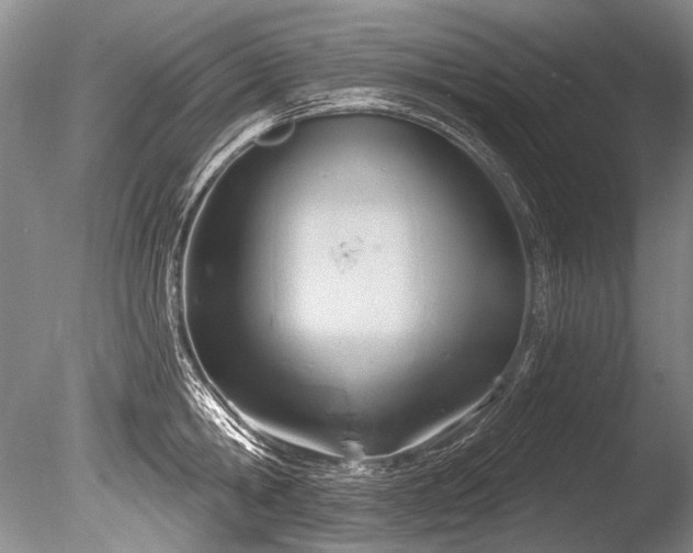 X0000086320806200703301216