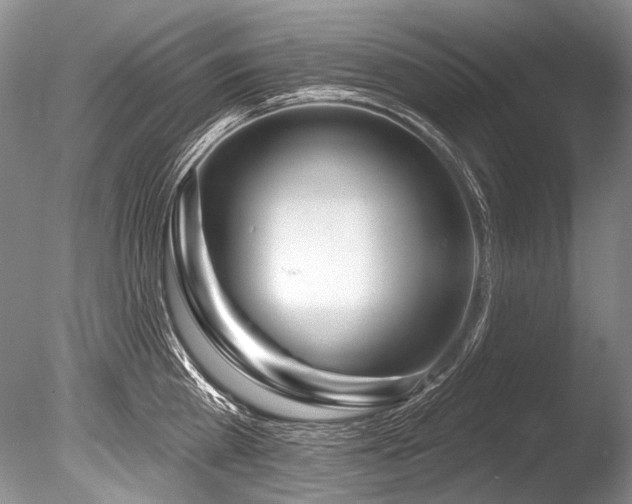 X0000086320809200703301216