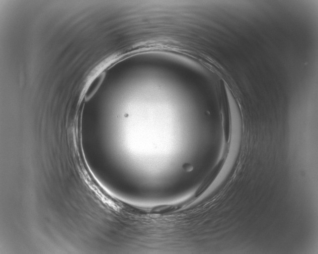 X0000086320812200703301216
