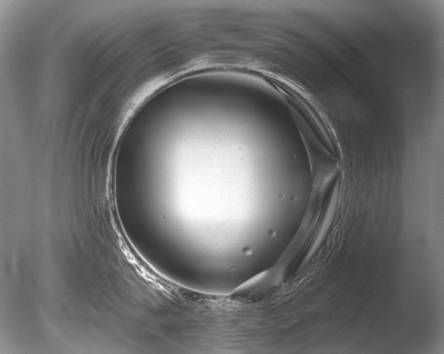 X0000086320815200703301216