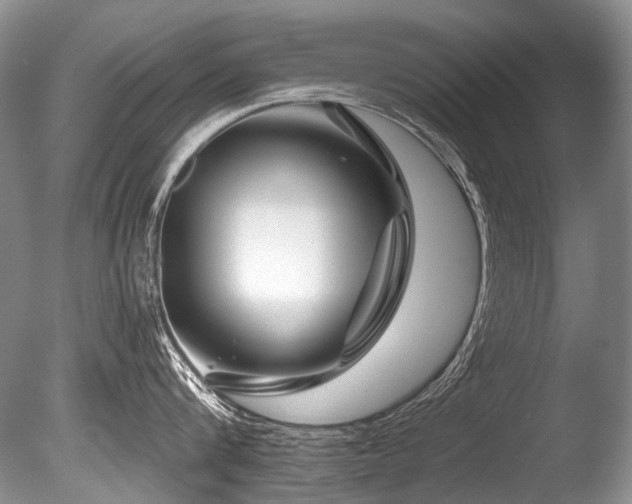 X0000086320816200703301216