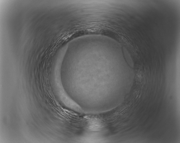 X0000086320817200703301215