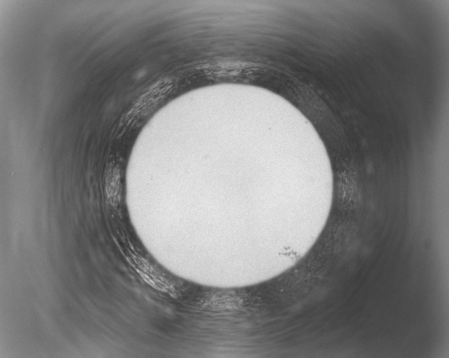 X0000086320820200703301215