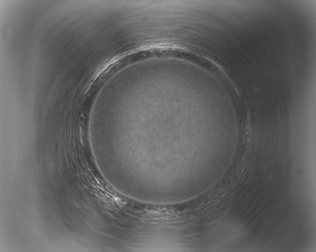 X0000086320823200703301215