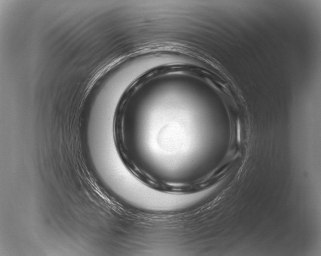 X0000086320826200703301215