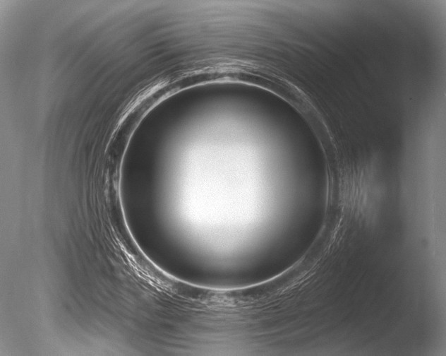 X0000086320827200703301215