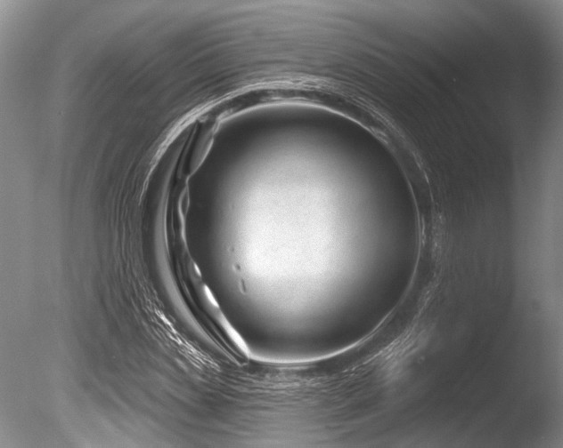 X0000086320829200703301215
