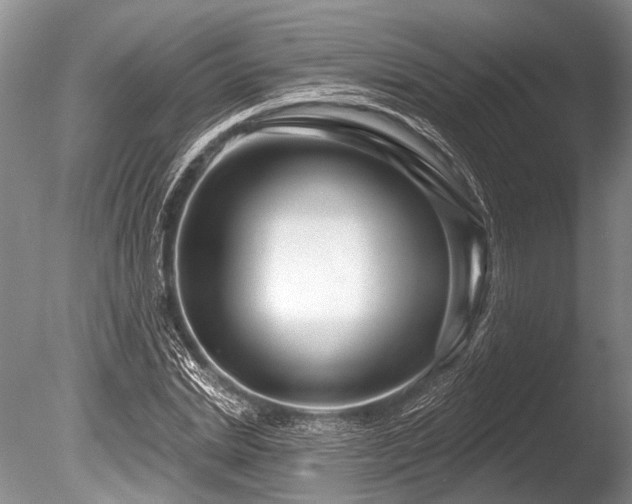 X0000086320830200703301215