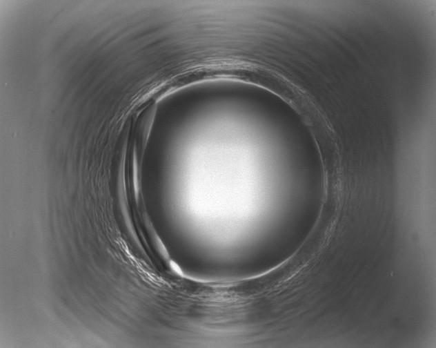 X0000086320833200703301215