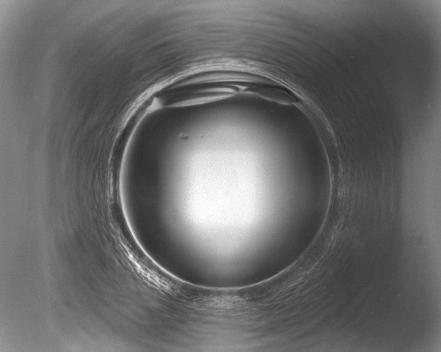 X0000086320837200703301215