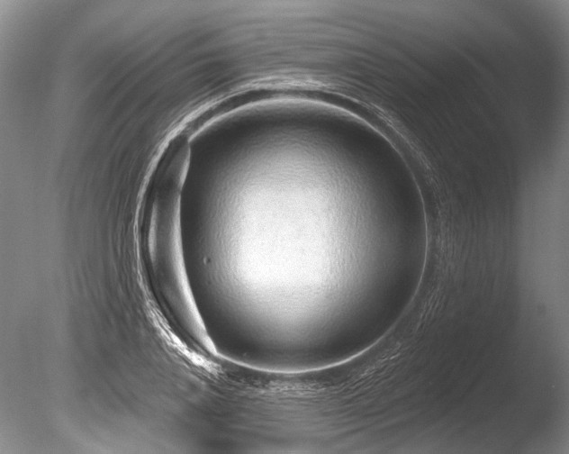 X0000086320840200703301215