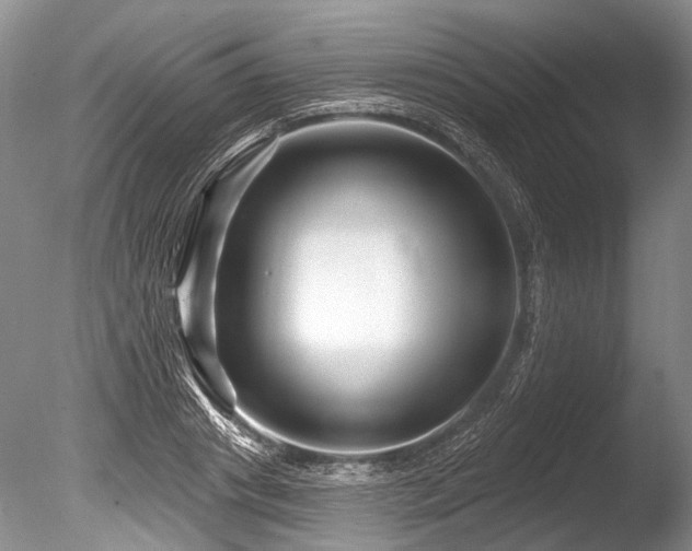 X0000086320841200703301216
