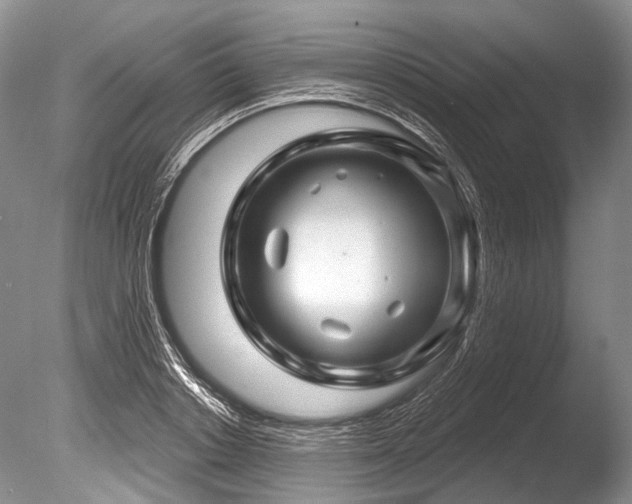 X0000086320842200703301216
