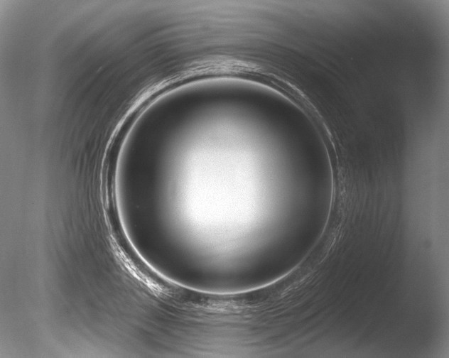 X0000086320843200703301216