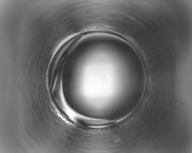 X0000086320846200703301216