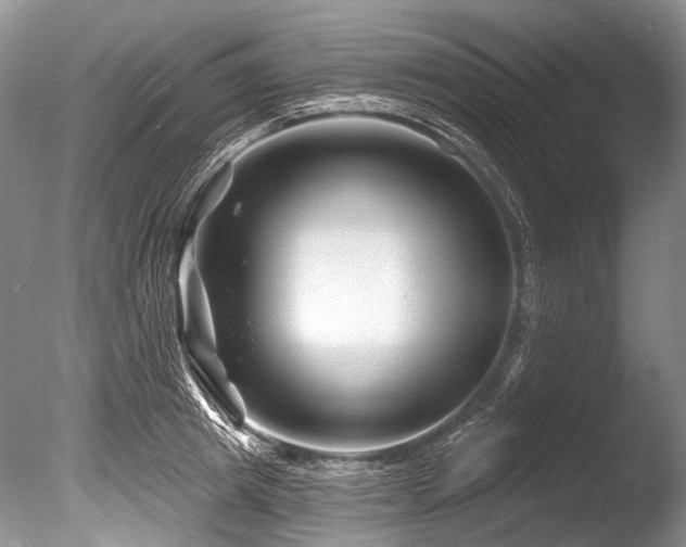 X0000086320849200703301216