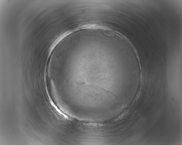 X0000086320855200703301216