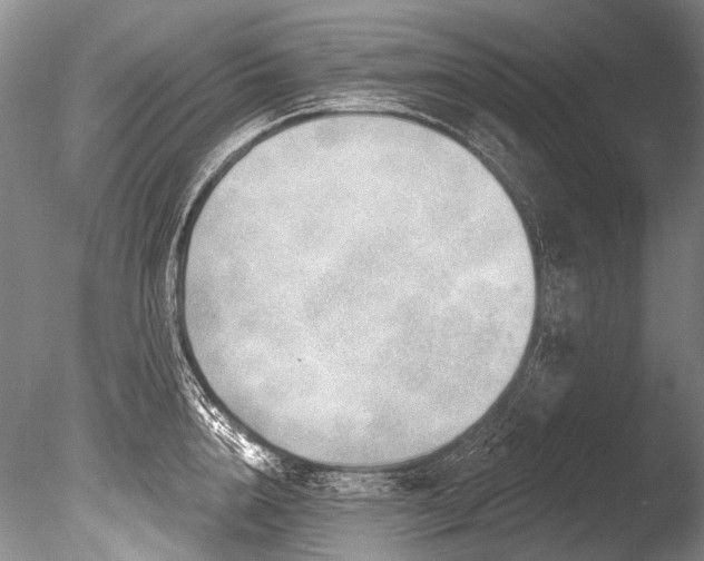 X0000086320856200703301216