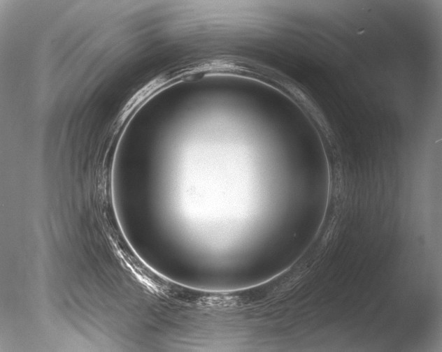 X0000086320858200703301216