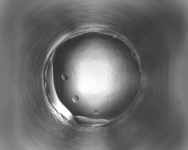 X0000086320859200703301216