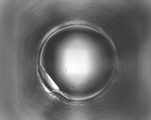 X0000086320861200703301216