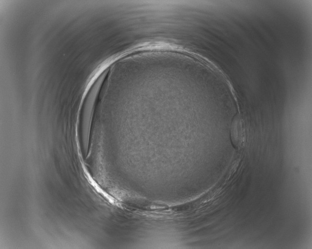 X0000086320863200703301216