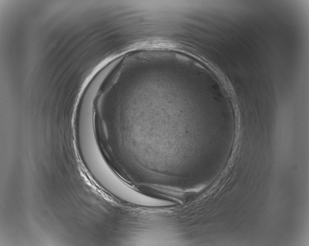 X0000086320864200703301216