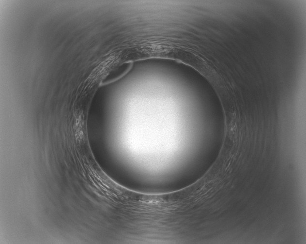 X0000086320866200703301215
