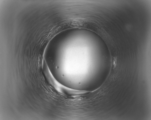 X0000086320867200703301215