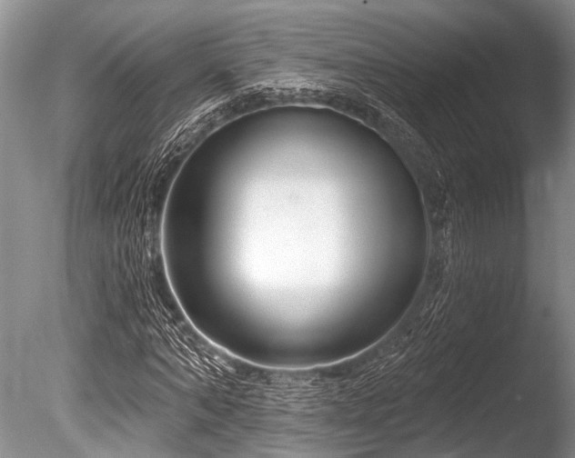 X0000086320870200703301215