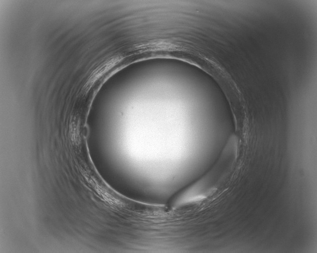 X0000086320873200703301215