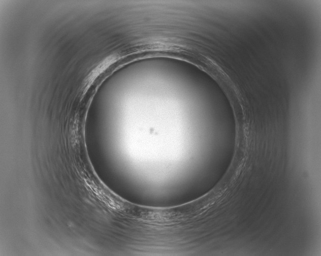 X0000086320875200703301215