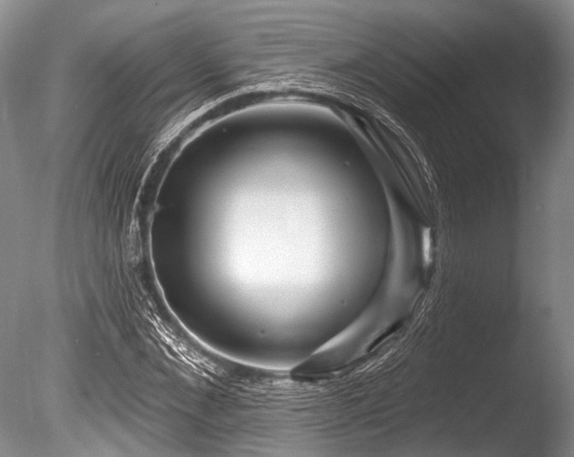 X0000086320876200703301215