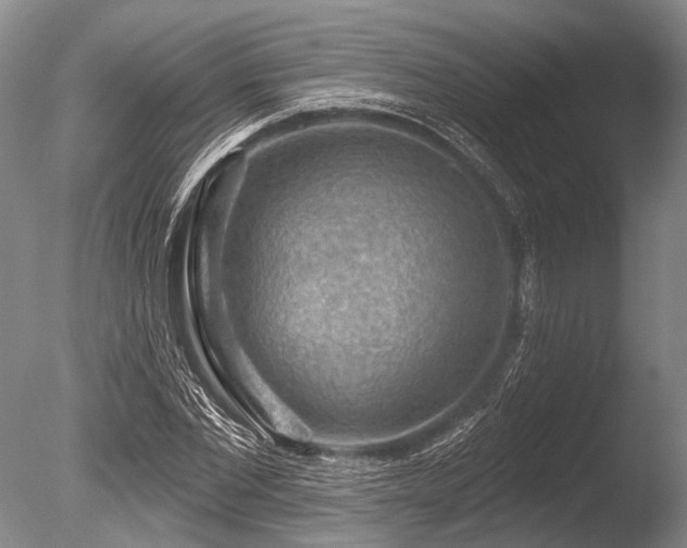X0000086320877200703301215
