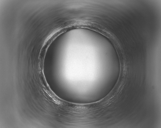 X0000086320878200703301215