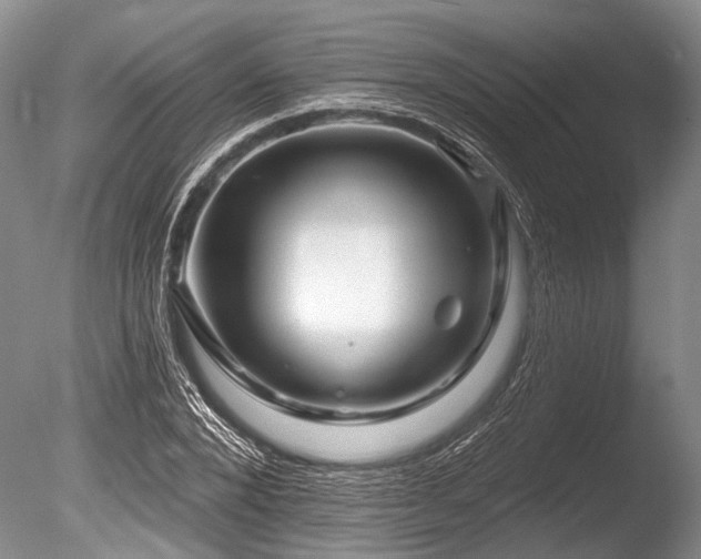 X0000086320880200703301215