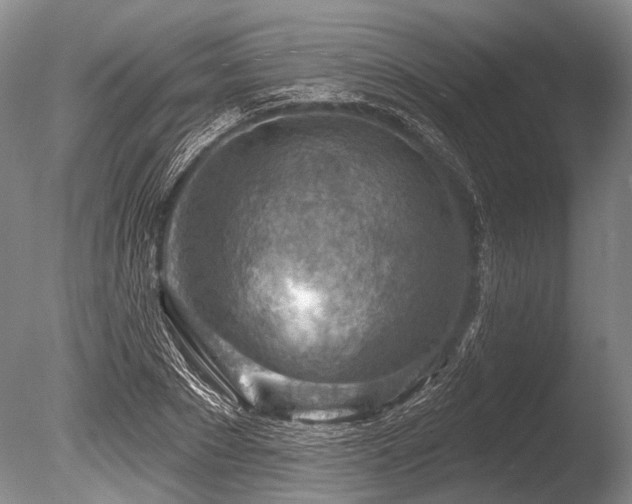 X0000086320881200703301215