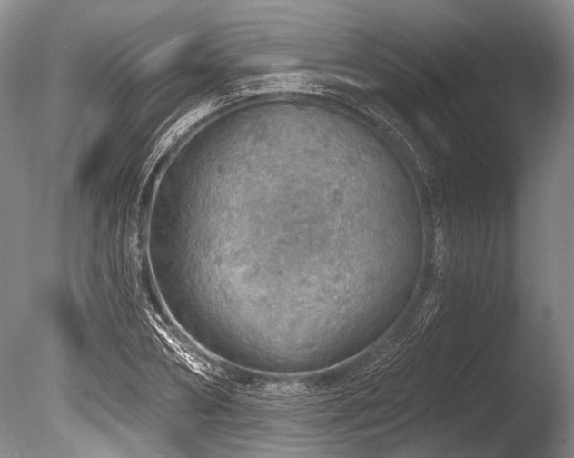 X0000086320882200703301215