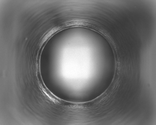 X0000086320890200703301215