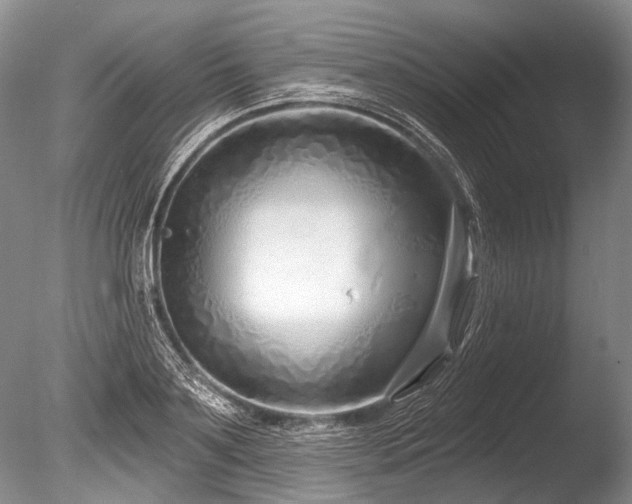 X0000086320891200703301215