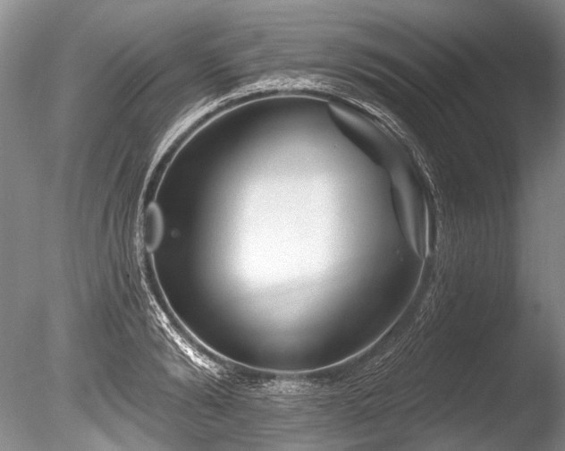 X0000086320894200703301215