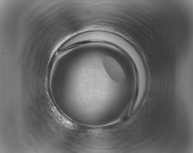 X0000086320896200703301215