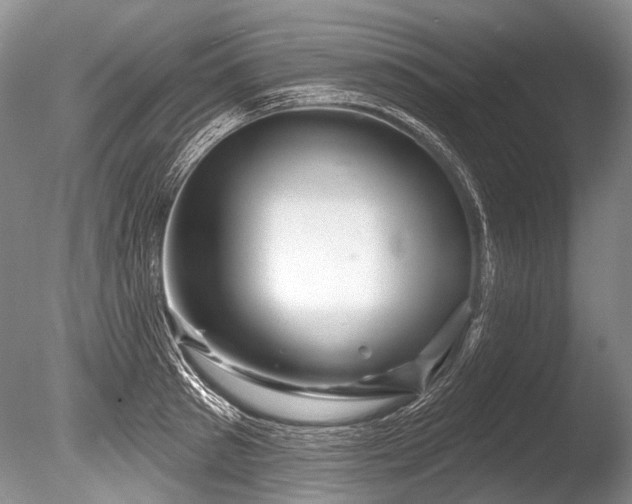 X0000086320897200703301215