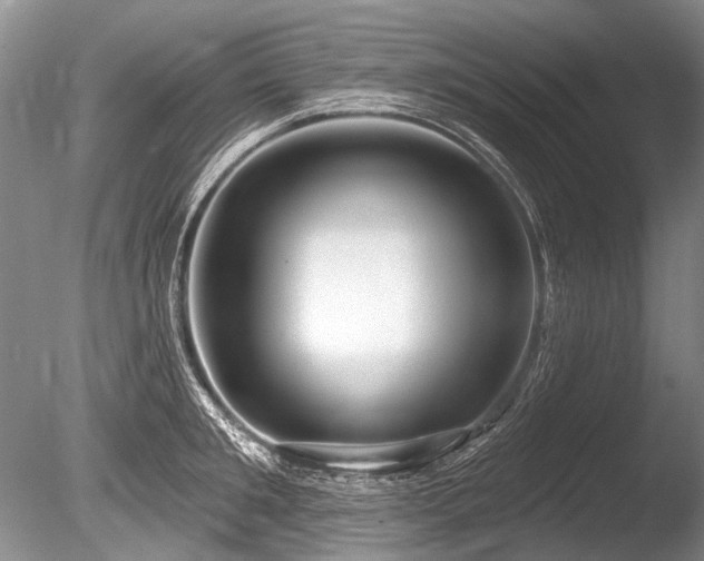 X0000086320901200703301214